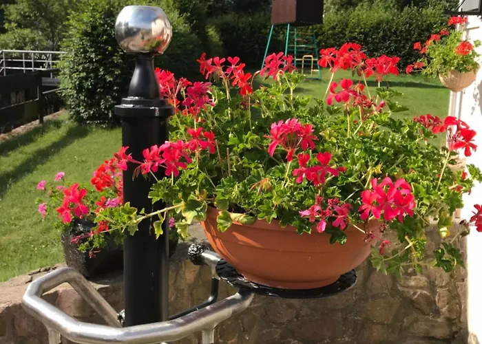 Grieser * Гайзинг